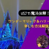 【USJで魔法体験！】ワンダーマジック＆ハリーポッターを小学生と楽しむ方法解説！