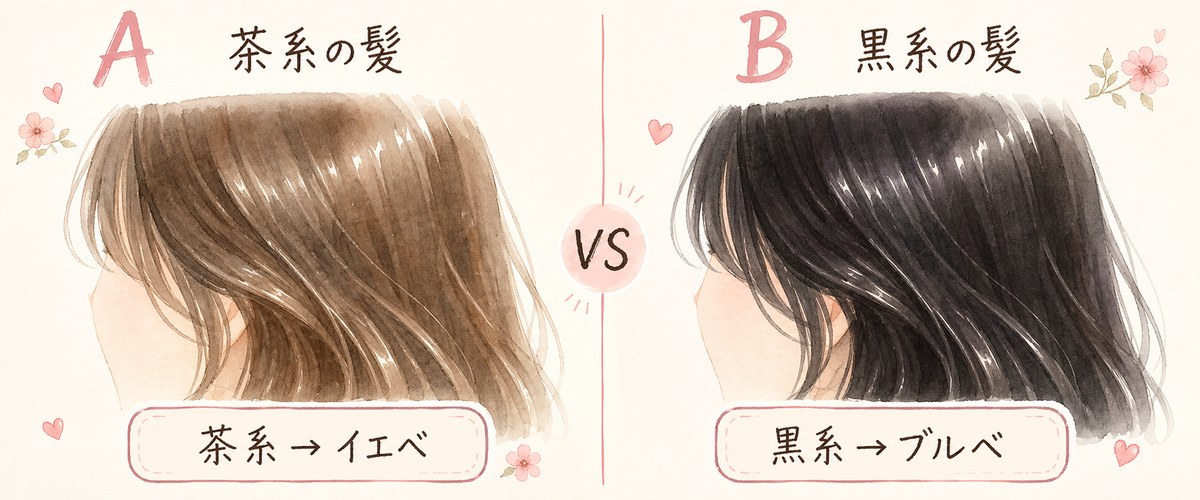 地毛の印象比較